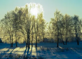 Найдена причина, почему зимой тяжелее дышать