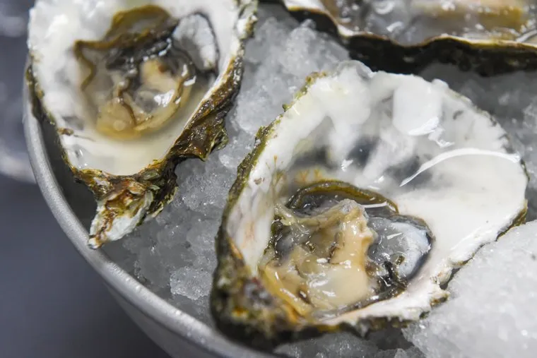 Устричная ферма. Екатеринбург