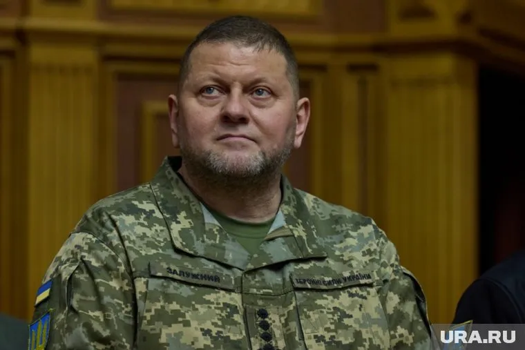Валерий Залужный выступил против привлечения в украинскую армию заключенных и судимых