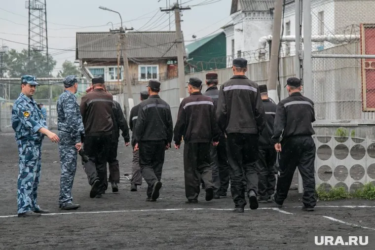 Отвечать будут не только те, кто избивал девочку, но и те, кто подстрекал и бездействовал