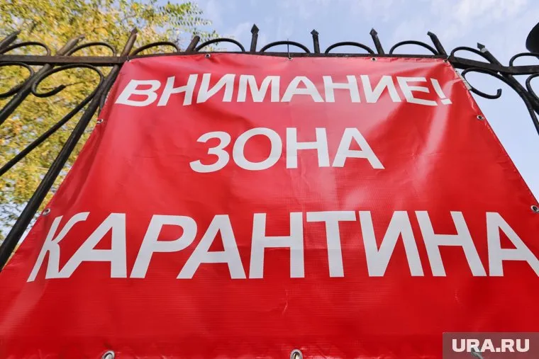 Через неделю в Пермском крае ежесуточный прирост заболевших COVID-19 может превысить 100 человек