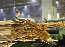 Крупнейший производитель фанеры в России ликвидирует пермскую дочернюю компанию