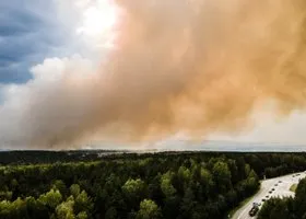 Фотография из галереи