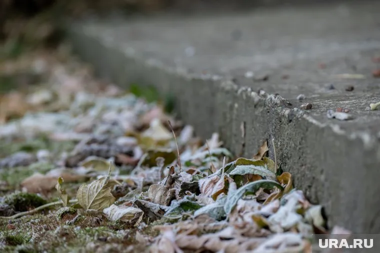 Снегопады в Челябинске прекратятся через неделю