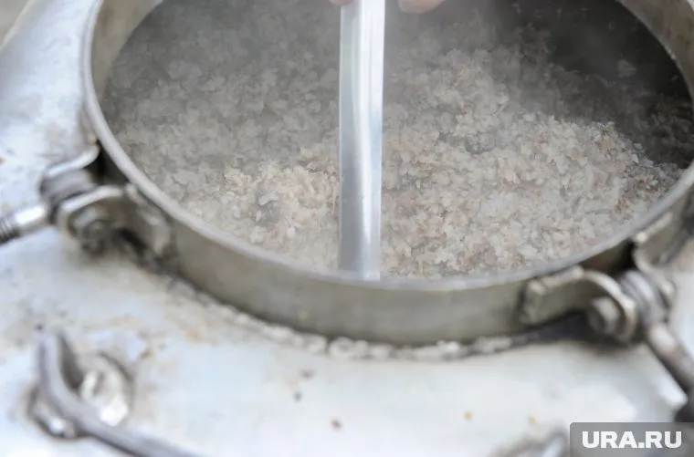 Дети пожаловались на насекомых в каше