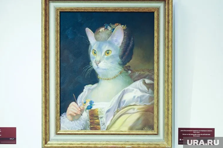 Некоторые исследования показали, что люди (особенно женщины) высыпаются лучше в компании кошки