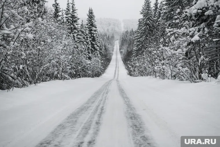 На дорогах Приуралья зафиксировано уже пять аварий с оленями за текущий год