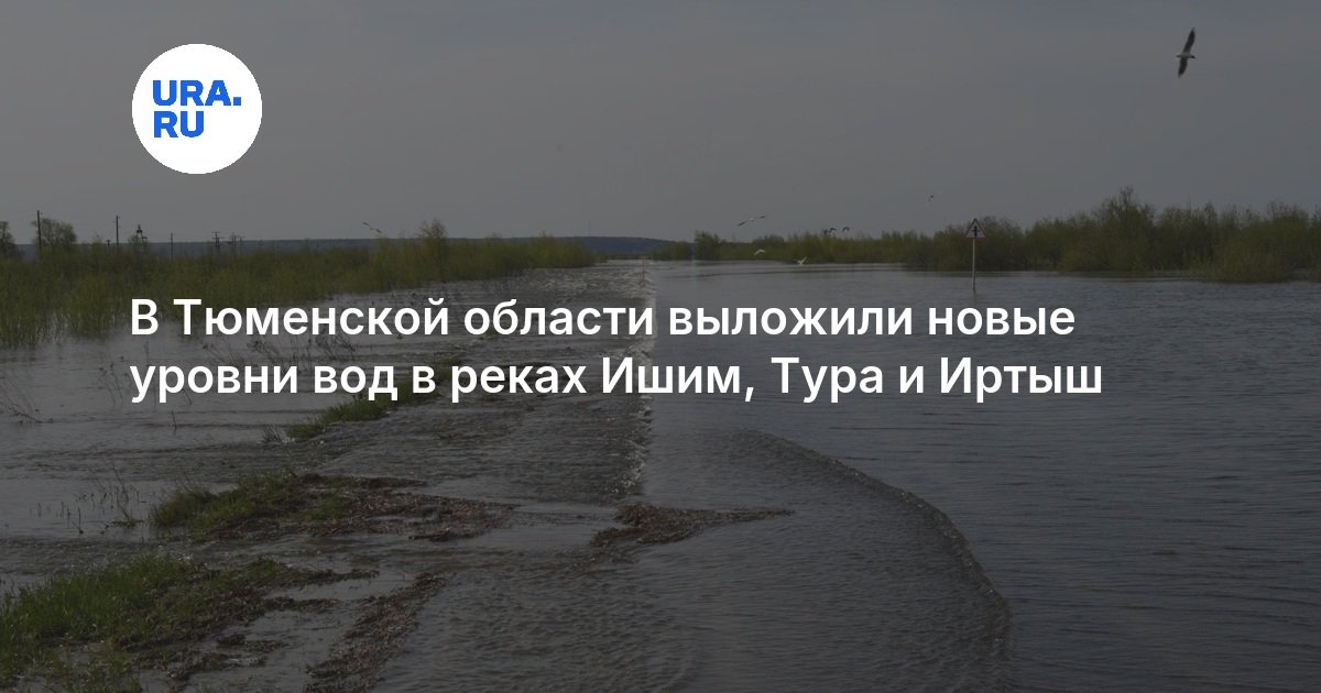 В Тюменской области выложили новые уровни вод в реках Ишим, Тура и Иртыш - URA.RU