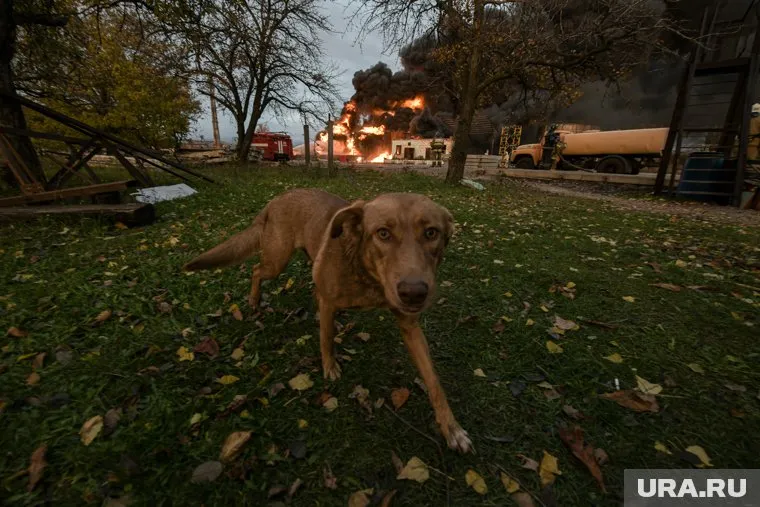 Возгорание произошло на Шарташе