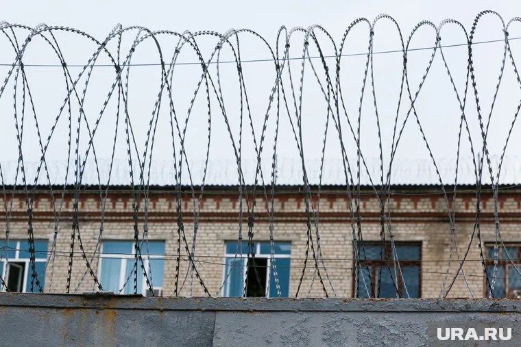 Сулейманова могут посадить в тюрьму на пожизненное, заявил Хаминский