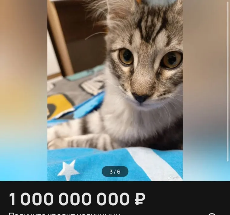 Мирослава Карповичтің порно фейктері Әйел басқа әйелдің кискасын қырып жатыр (лесбиянкалық порно)