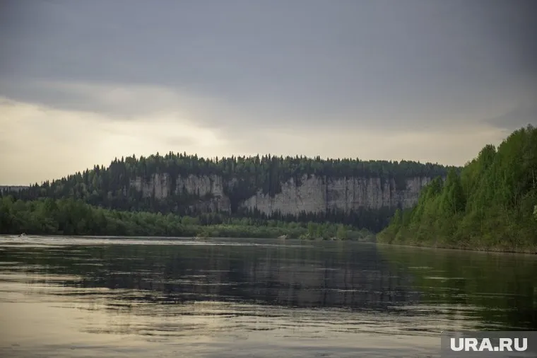 Дикое животное накинулось на ребенка прямо в воде
