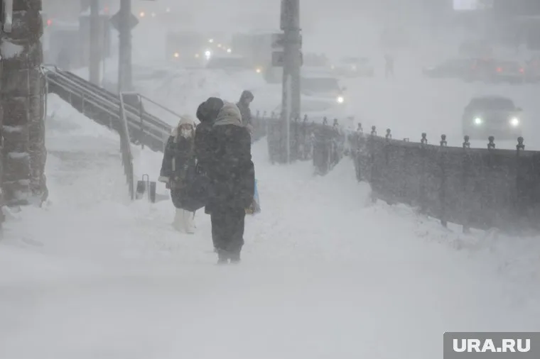 Порывы ветра в отдельных районах будут достигать 17 м/с
