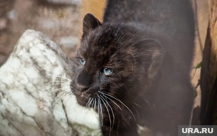 Малышке всего три месяца