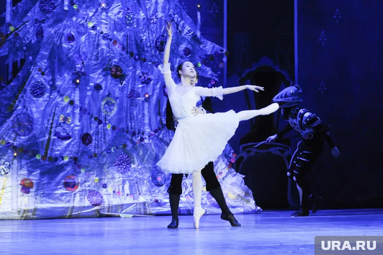 В Кургане в период зимних праздников пройдут музыкальные концерты