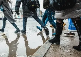 Фотография из галереи