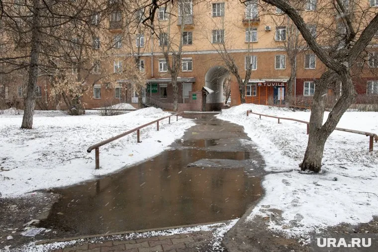 Из-за арктического вторжения возможно выпадение снега