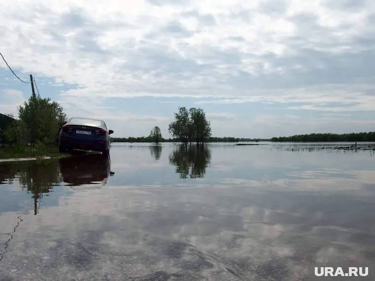 Уровень воды в оби составляет 981 сантиметр