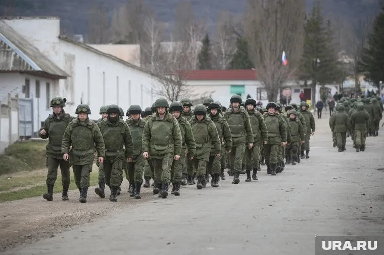 На полуострове, помимо флота, размещены сухопутные войска, авиация и артиллерия