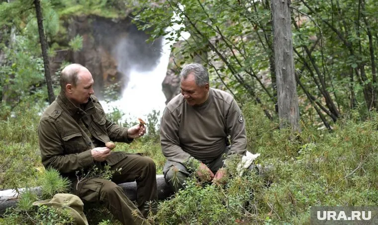 Челябинцы хотят подарить Путину парк
