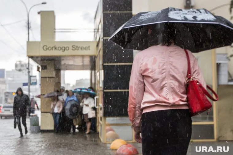 Дожди в регионе будут в пятницу и субботу