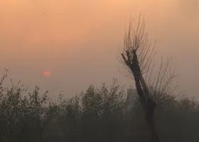 Фотография из галереи