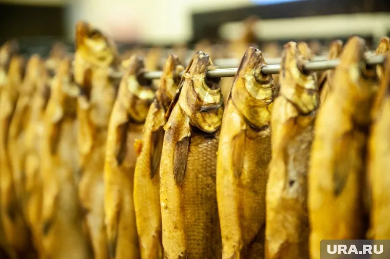 Директор рыбзавода Багаудин Ахильгов получил условный срок за явку с повинной