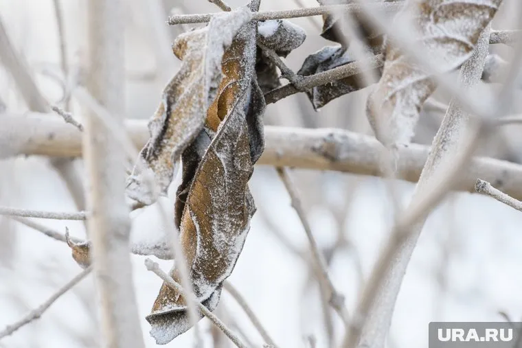 На Среднем Урале ветер усилится до 17 метров в секунду