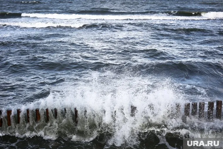 Для россиян доступны совершенно разные виды отдыха, сказал Юрий Барзыкин