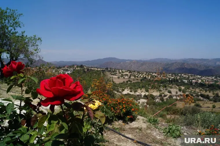 Кипрские СМИ уверены, что президент государства заинтересован в Викторе Пичугове