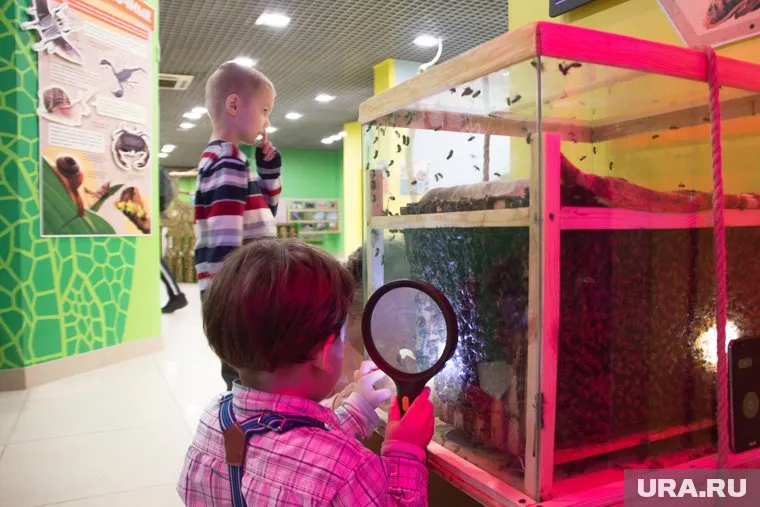 Даже самые маленькие изучают поведение пчел