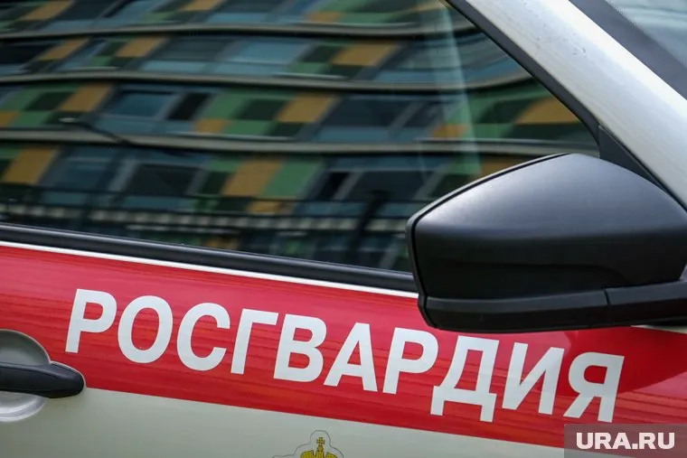 Снаряды нашли в Богдановиче