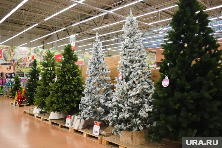 Штраф можно получить даже при покупке елки