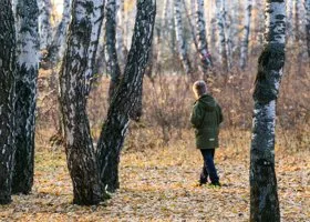 Пропавший в Артемовском мальчик ушел в лес за ягодами
