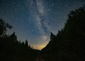 Пермский ученый рассказал, в какое время лучше наблюдать звездопад Секстантиды