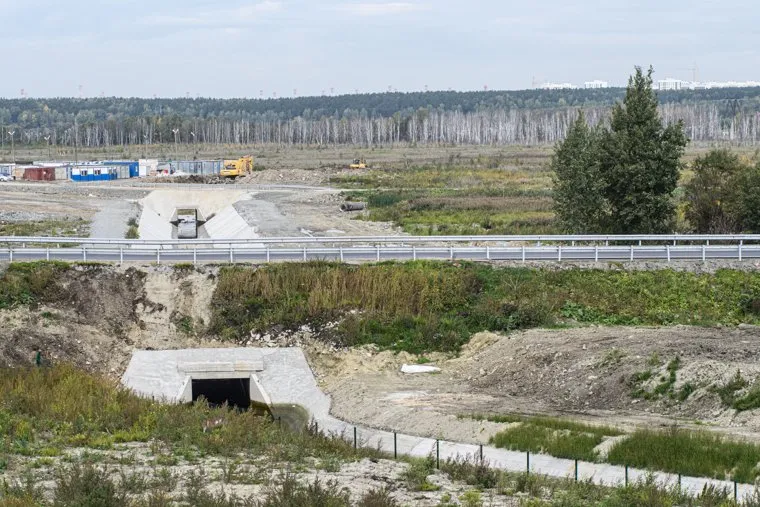 Болото у Екатеринбург-ЭКСПО. Екатеринбург