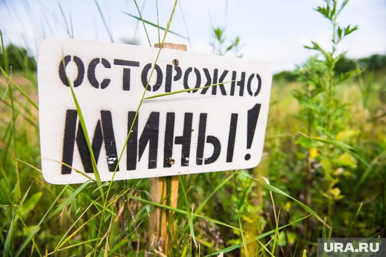 Саперы установили, что мина в кафе была учебной