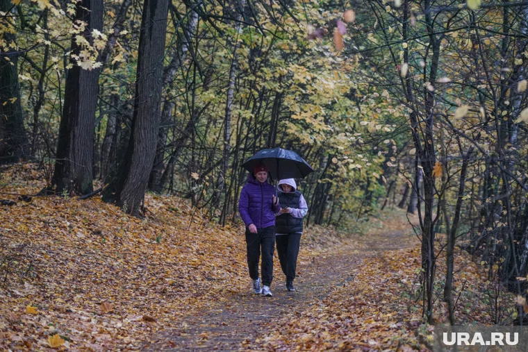 Ветер западный со скоростью 2 м/с