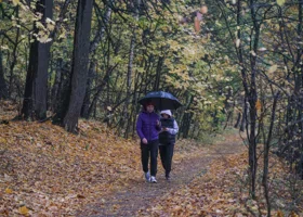 В Тюменскую субботу весь день будет пасмурно