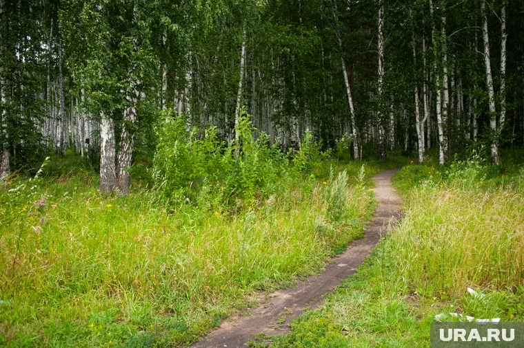 Горожане предпочитают сохранение природы новым спортивным объектам (фото из архива)