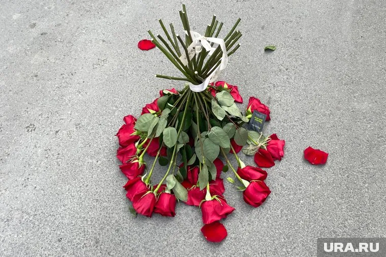 Светлана Фаст рассказала, что хронический стресс негативно влияет на сексуальную жизнь