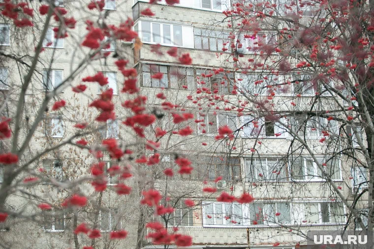 У некоторых компаний в 2ГИС рейтинг не достигает даже двух звезд из пяти