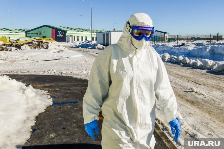 Оба штамма коронавируса, попавших в Россию, пришли из Турции