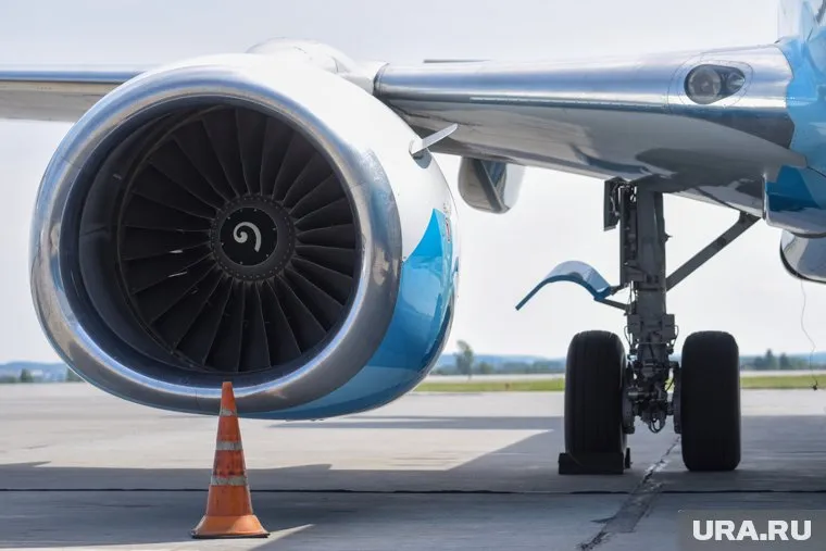 Крики из багажного отдела самолета вынудили пилотов изменить маршрут