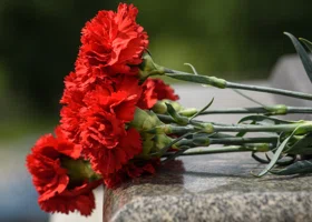 Фотография из галереи