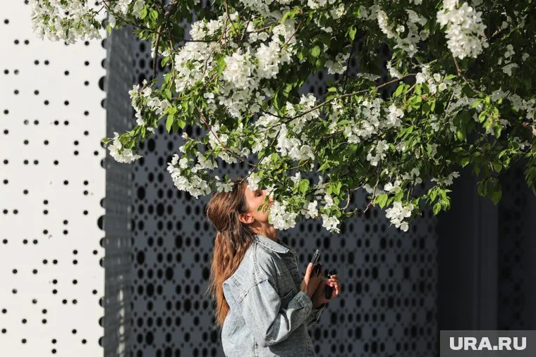 При аллергии у человека возникает ощущение «песка в глазах»