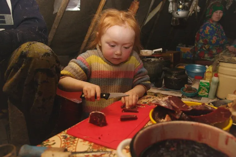 Быт Ямальских оленеводов. , оленеводы, ханты, аборигены, манси