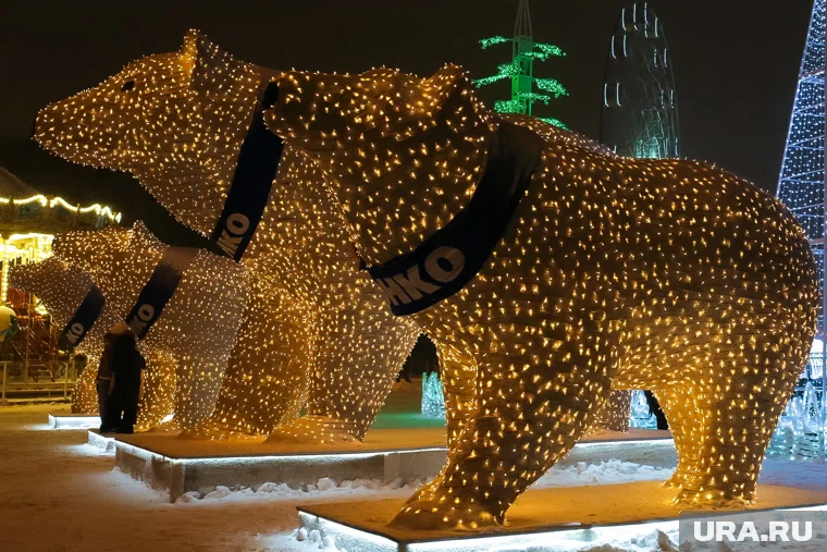 В этом году знаменитые медведи посетят два города Тюменской области