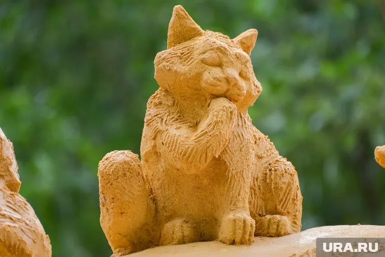 Кошку со скверным характером выставили на продажу в Южноуральске