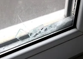 Фотография из галереи